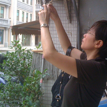 2009 大稻埕古蹟立面圖案勘查